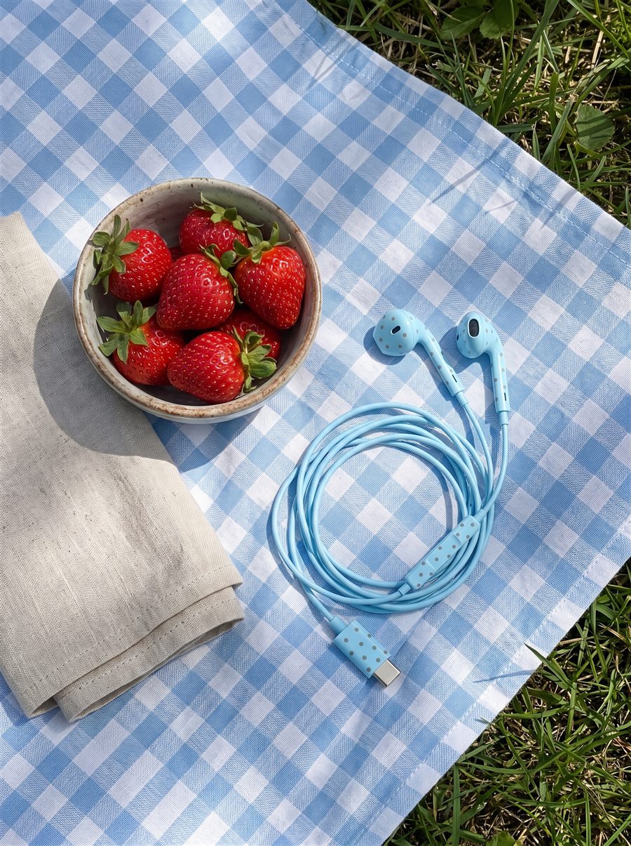 Babyblauwe oortjes op een geruit picknickkleed met aardbeien